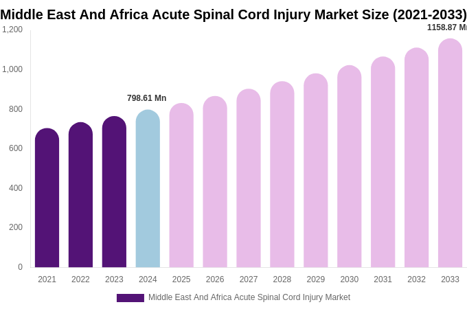 Middle East And Africa Acute Spinal Cord Injury Market Size, Share & Growth Report By [2033]