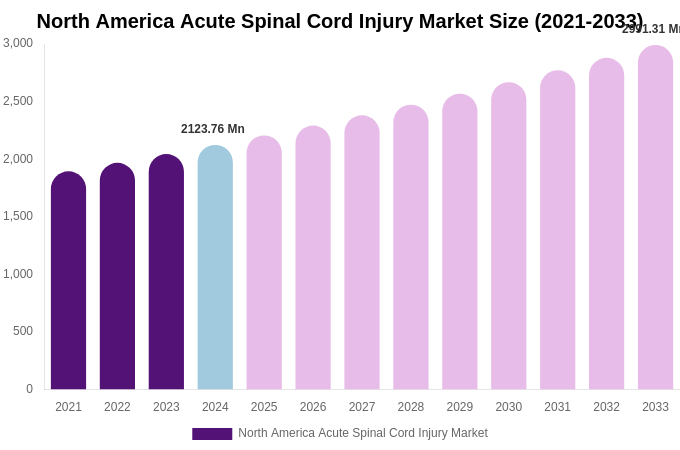 North America Acute Spinal Cord Injury Market Size, Share & Growth Report By 2033