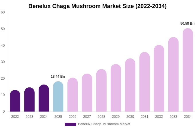 Benelux Chaga Mushroom Market Size, Trends & Forecast Analysis (2026-2034)