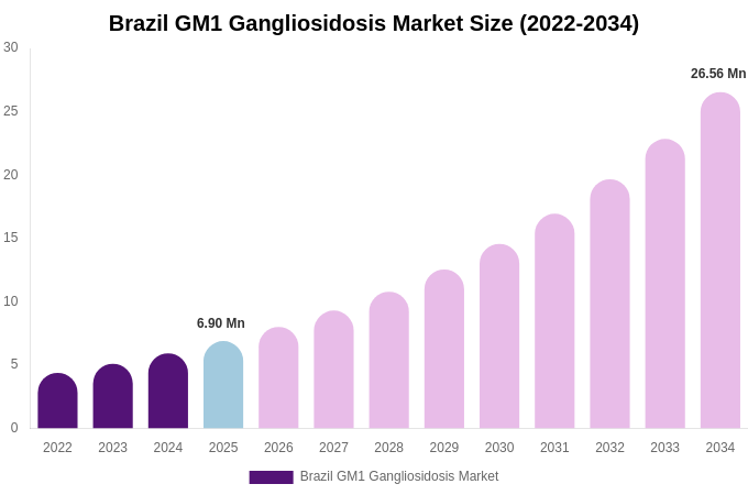 Brazil GM1 Gangliosidosis Market Size, Share & Growth Analysis By [2034]