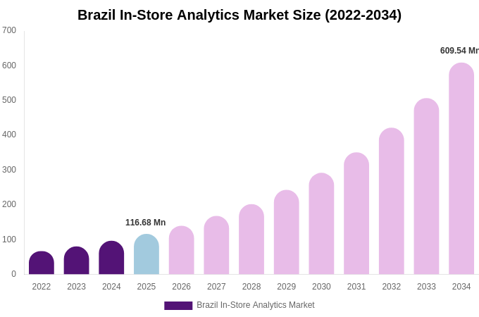 Brazil In-Store Analytics Market Size & Share Report By 2034