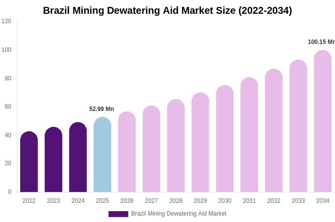 Brazil Mining Dewatering Aid Market Size, Trends & Forecast Analysis (2026-2034)