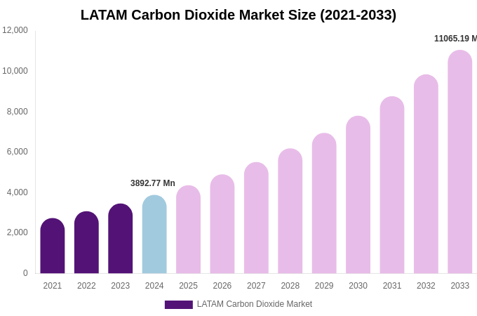 LATAM Carbon Dioxide Market Size, Share & Growth Report By [2033]