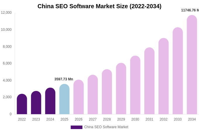China SEO Software Market Size, Share Report By 2034