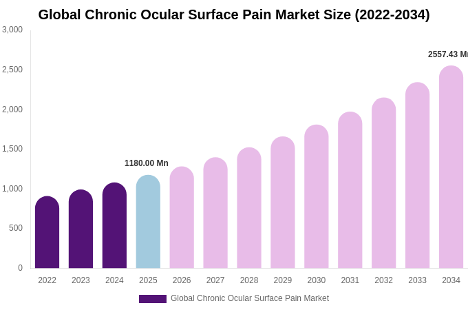 Global Chronic Ocular Surface Pain Market Size, Trends & Forecast Analysis (2026-2034)