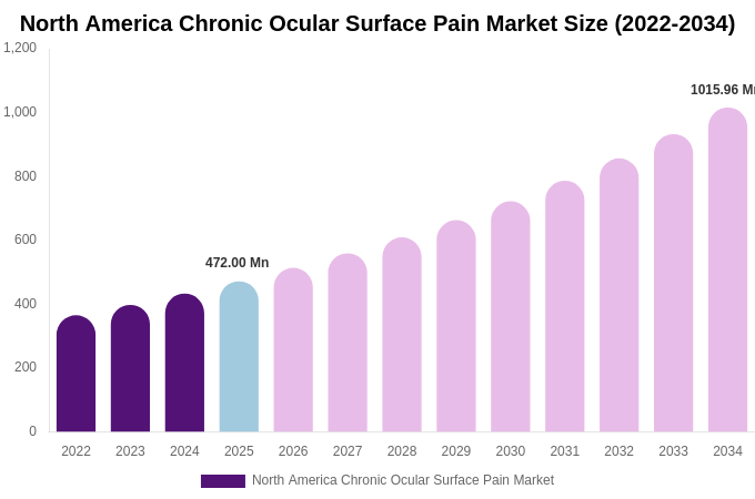 North America Chronic Ocular Surface Pain Market Size Report By 2034