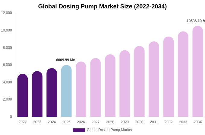 Global Dosing Pump Market Size, Share Report By 2034