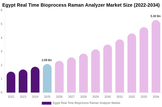 Egypt Real Time Bioprocess Raman Analyzer Market Size, Share & Growth Analysis By [2034]