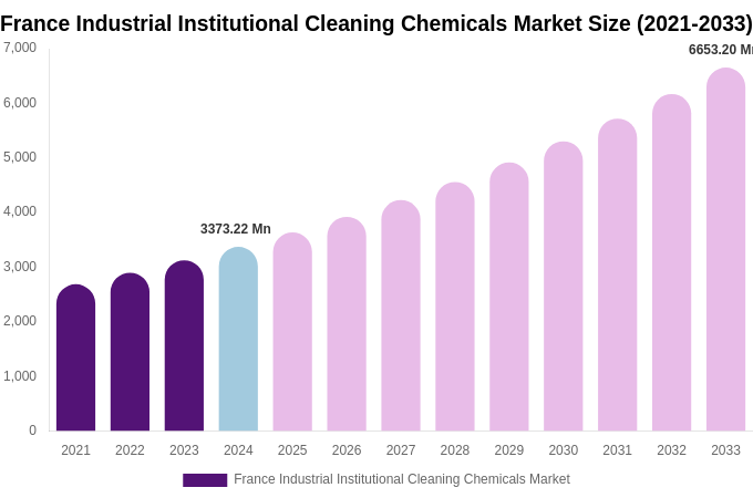 France Industrial Institutional Cleaning Chemicals Market Size, Share Report By 2033