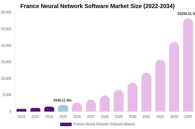 France Neural Network Software Market Size, Share & Trends Report By 2034