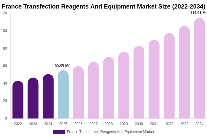 France Transfection Reagents And Equipment Market Size, Share & Trends Report By 2034
