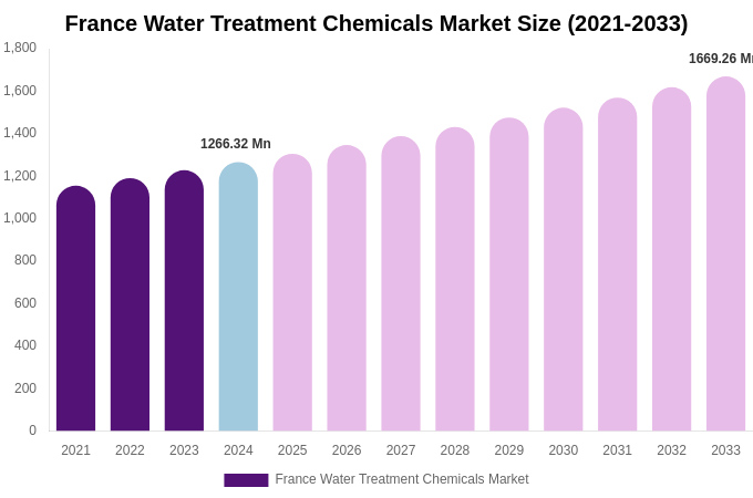 France Water Treatment Chemicals Market Size, Share Report By 2033