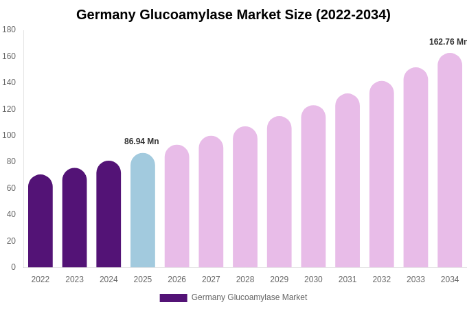 Germany Glucoamylase Market Size, Share Report By 2034
