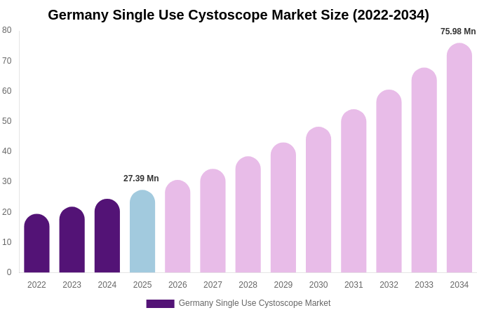 Germany Single Use Cystoscope Market Size & Share Report By 2034