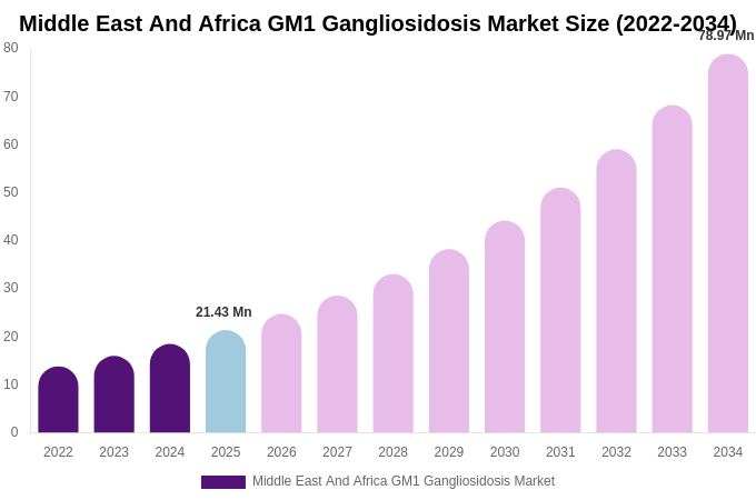 Middle East And Africa GM1 Gangliosidosis Market Size, Share & Trends Report By 2034