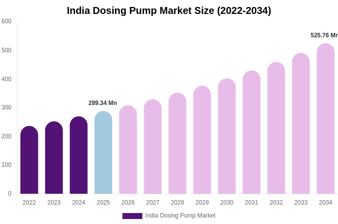 India Dosing Pump Market Size Report By 2034