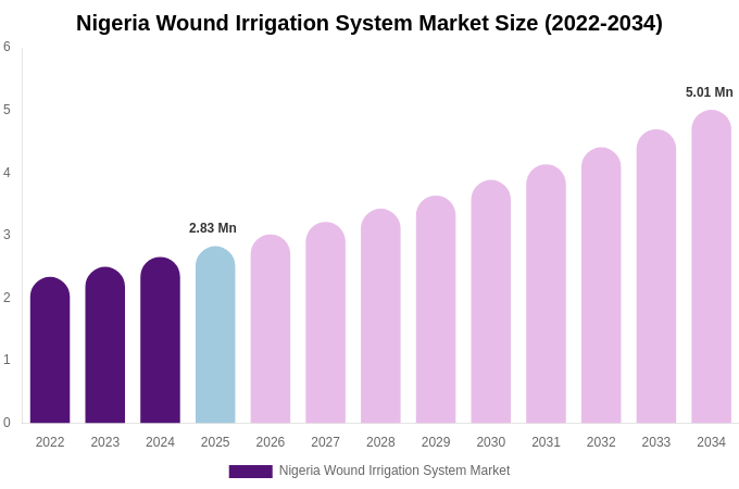Nigeria Wound Irrigation System Market Size & Share Report By 2034