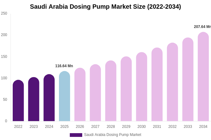 Saudi Arabia Dosing Pump Market Size, Share Report By 2034