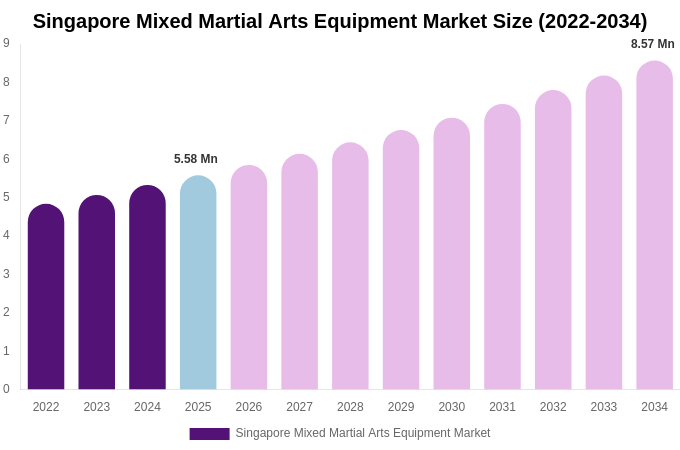 Singapore Mixed Martial Arts Equipment Market Size Report By 2034