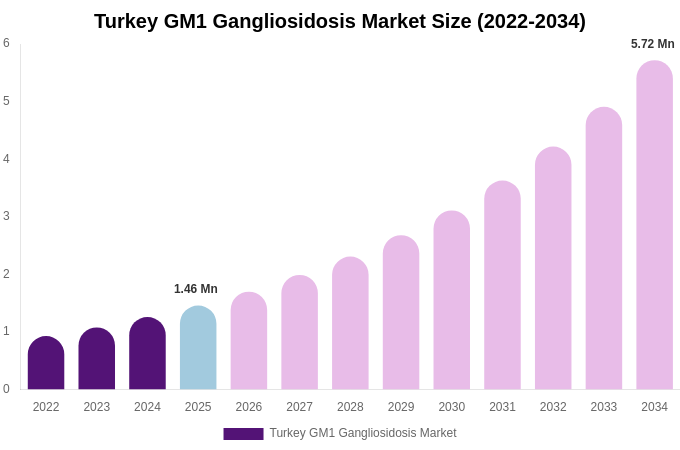 Turkey GM1 Gangliosidosis Market Size, Share Report By 2034