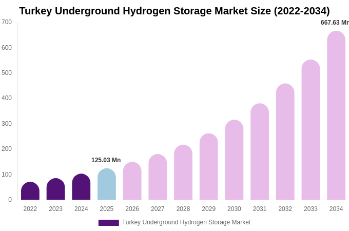 Turkey Underground Hydrogen Storage Market Size & Share Report By 2034