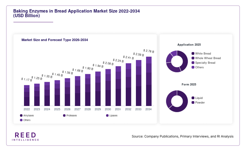Baking Enzymes in Bread Application Market Size and Forecast Type 2026-2034