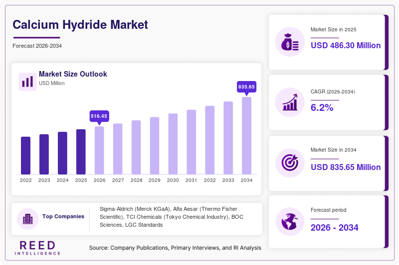 Calcium Hydride Market  Size