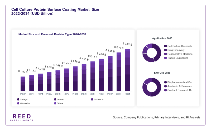   Cell Culture Protein Surface Coating Market  Size and Forecast Protein Type 2026-2034