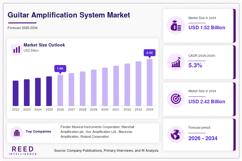 Guitar Amplification System Market Size
