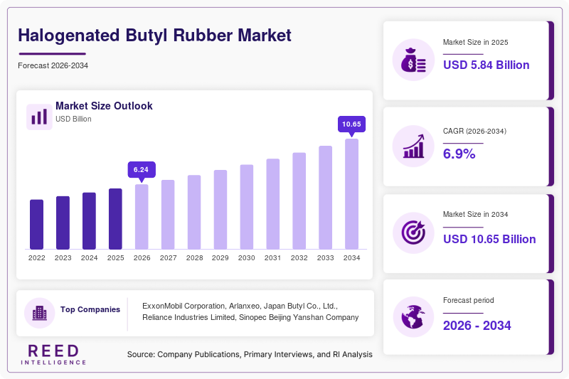 Halogenated Butyl Rubber Market Size