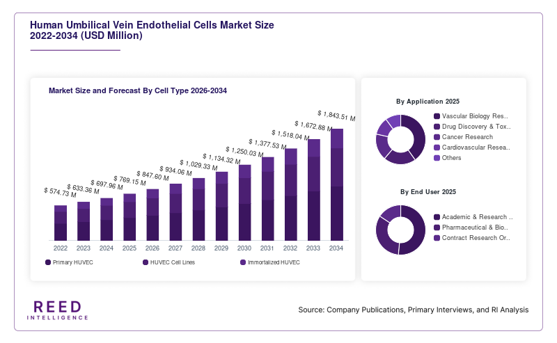 Human Umbilical Vein Endothelial Cells Market Size and Forecast By Cell Type 2026-2034