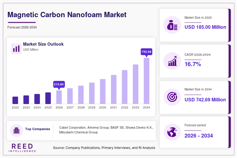 Magnetic Carbon Nanofoam Market Size