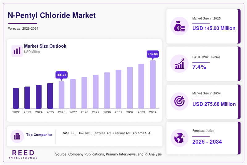 N-Pentyl Chloride Market Size