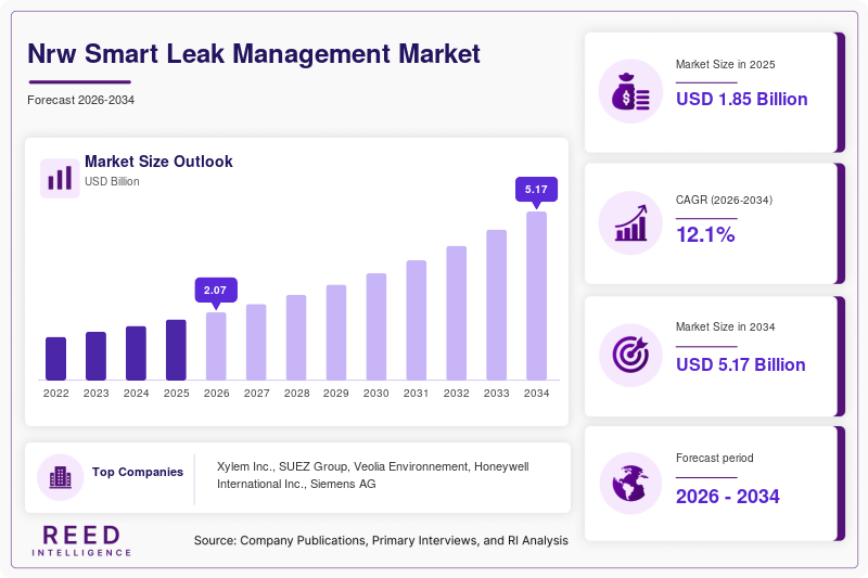 Nrw Smart Leak Management Market Size, Share & Growth Report