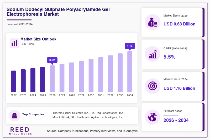 Sodium Dodecyl Sulphate Polyacrylamide Gel Electrophoresis Market Size