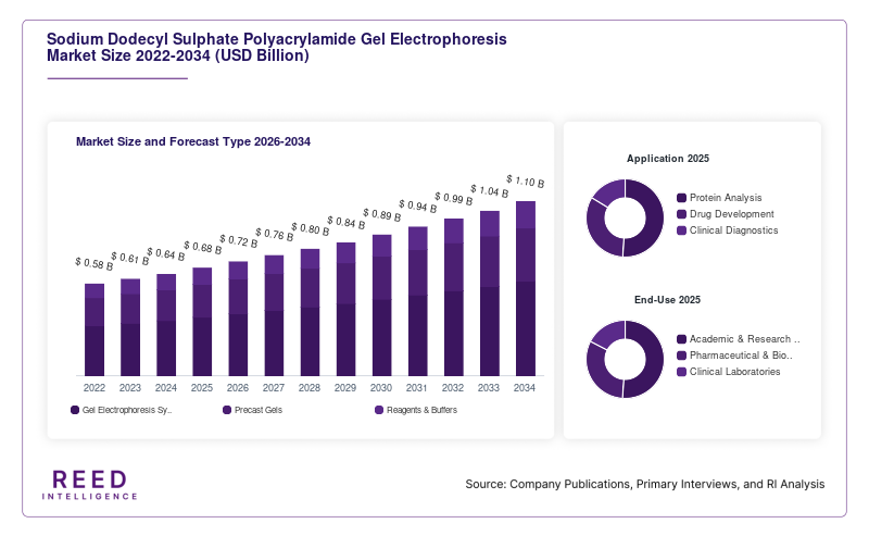 Sodium Dodecyl Sulphate Polyacrylamide Gel Electrophoresis Market Size and Forecast Type 2026-2034