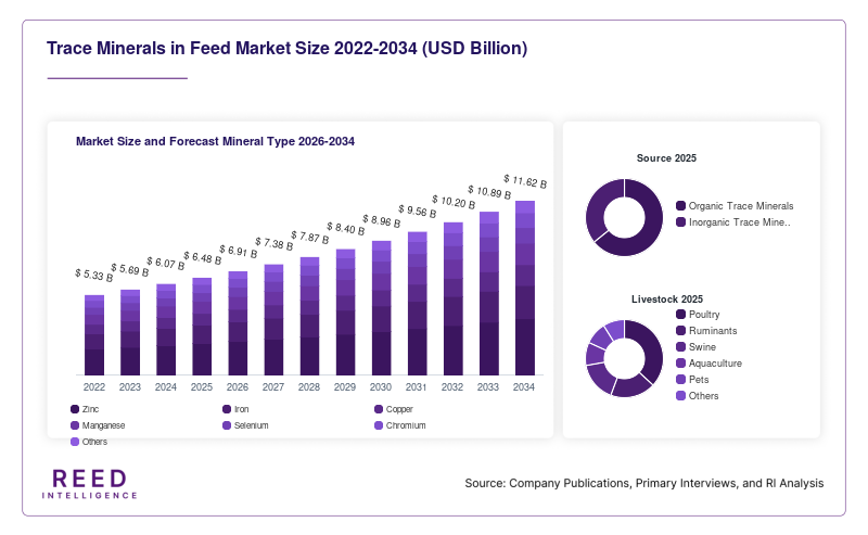 Trace Minerals in Feed Market Size and Forecast Mineral Type 2026-2034